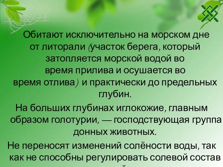 Обитают исключительно на морском дне от литорали (участок берега, который затопляется морской