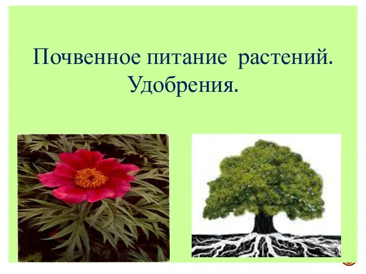 Презентация к уроку биологии 6 класс _Почвенное питание растений_ (1)