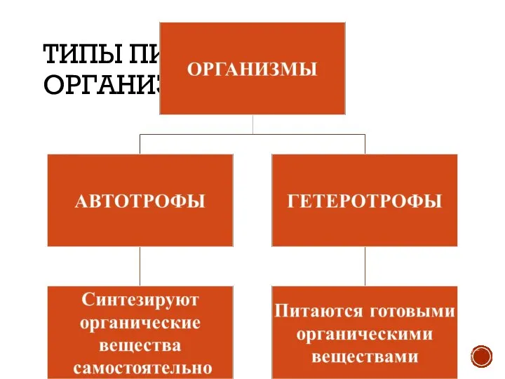 ТИПЫ ПИТАНИЯ ОРГАНИЗМОВ