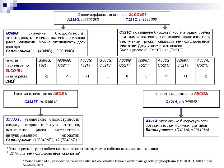 2 полиморфных аллеля гена SLCO1B1 A388G, rs2306283 Т521C, rs4149056 G388G: снижение биодоступности