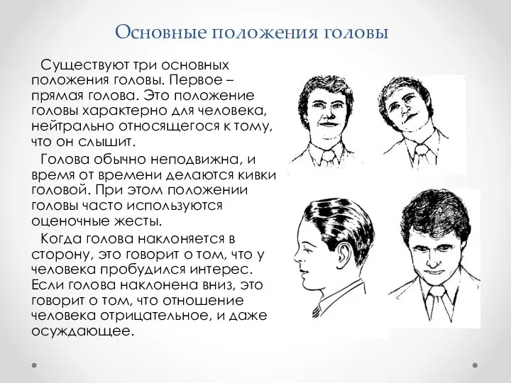 Основные положения головы Существуют три основных положения головы. Первое – прямая голова.