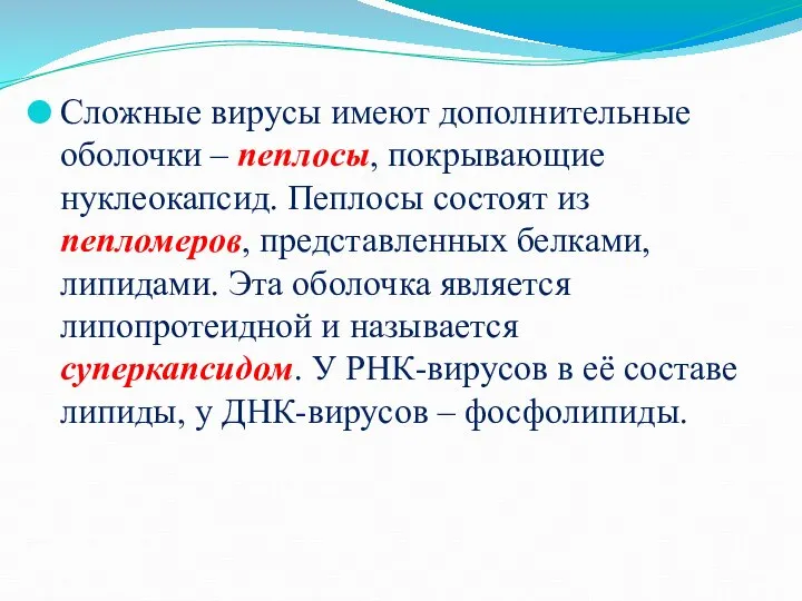 Сложные вирусы имеют дополнительные оболочки – пеплосы, покрывающие нуклеокапсид. Пеплосы состоят из