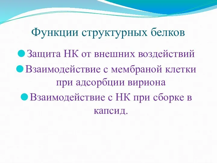 Функции структурных белков Защита НК от внешних воздействий Взаимодействие с мембраной клетки