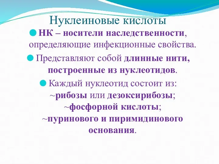 Нуклеиновые кислоты НК – носители наследственности, определяющие инфекционные свойства. Представляют собой длинные