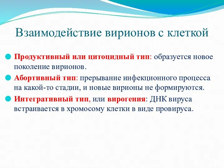 Взаимодействие вирионов с клеткой Продуктивный или цитоцидный тип: образуется новое поколение вирионов.