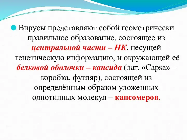 Вирусы представляют собой геометрически правильное образование, состоящее из центральной части – НК,