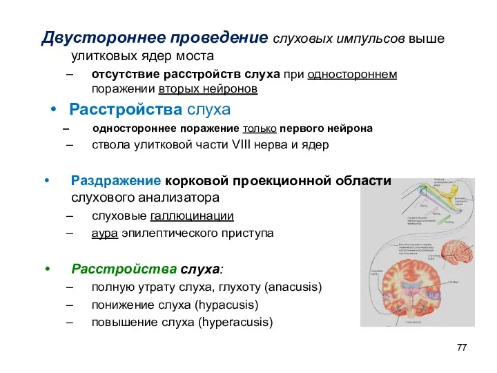 Двустороннее проведение слуховых импульсов выше улитковых ядер моста отсутствие расстройств слуха при