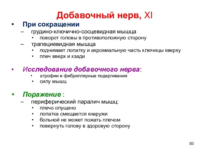 Добавочный нерв, ХI При сокращении грудино-ключично-сосцевидная мышца поворот головы в противоположную сторону