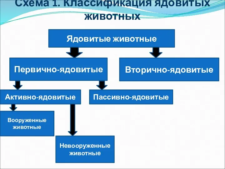 Схема 1. Классификация ядовитых животных Ядовитые животные Первично-ядовитые Вторично-ядовитые Активно-ядовитые Пассивно-ядовитые Вооруженные животные Невооруженные животные