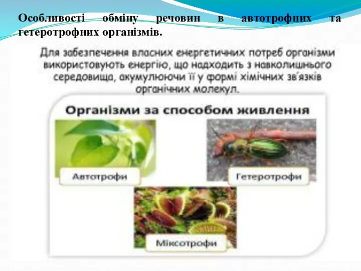 Особливості обміну речовин в автотрофних та гетеротрофних організмів.