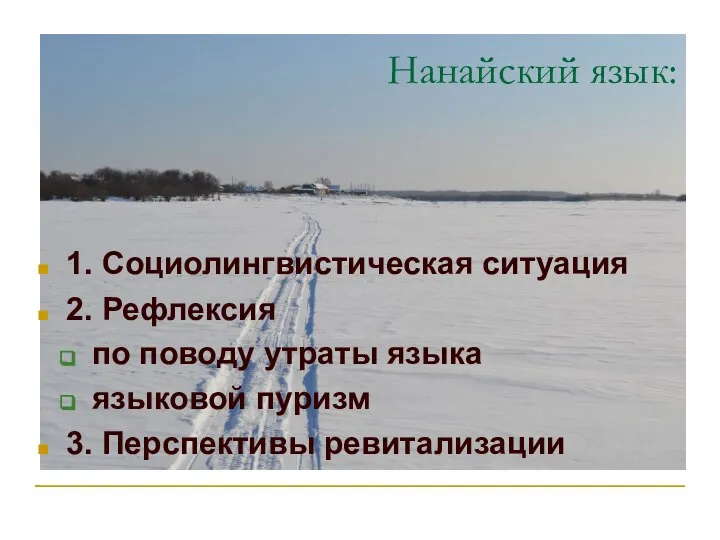 Нанайский язык: 1. Социолингвистическая ситуация 2. Рефлексия по поводу утраты языка языковой пуризм 3. Перспективы ревитализации