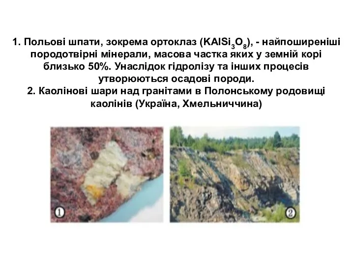 1. Польові шпати, зокрема ортоклаз (KAlSi3O8), - найпоширеніші породотвірні мінерали, масова частка