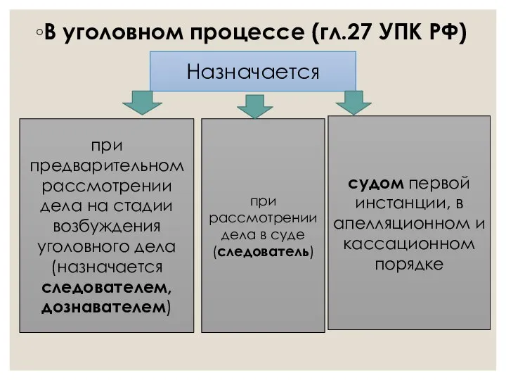 В уголовном процессе (гл.27 УПК РФ) Назначается при предварительном рассмотрении дела на