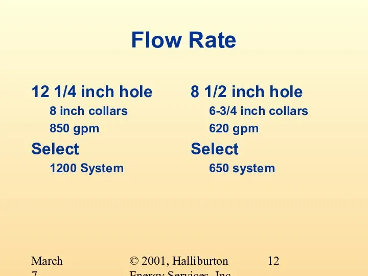 © 2001, Halliburton Energy Services, Inc. March 7, 2001 Flow Rate 12