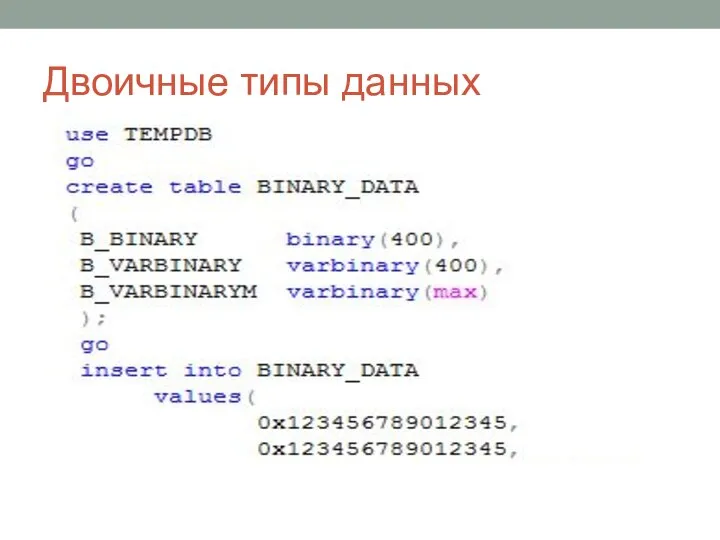 Двоичные типы данных
