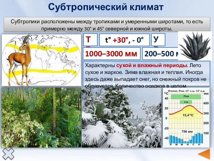 Субтропический климат ТВ t° +30°, - 0° 1000–3000 мм УВ 200–500 мм