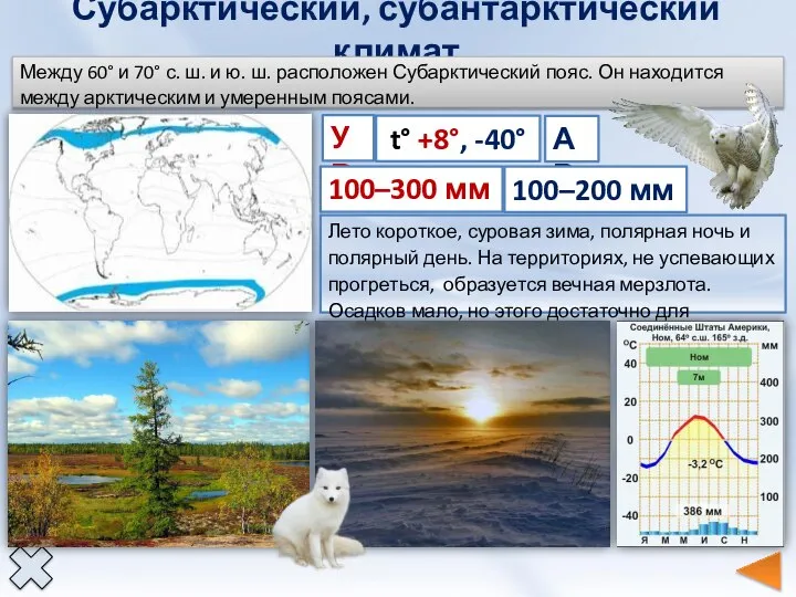 Субарктический, субантарктический климат УВ t° +8°, -40° 100–300 мм АВ 100–200 мм