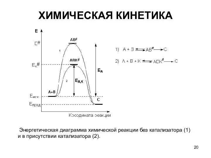 ХИМИЧЕСКАЯ КИНЕТИКА Энергетическая диаграмма химической реакции без катализатора (1) и в присутствии катализатора (2).