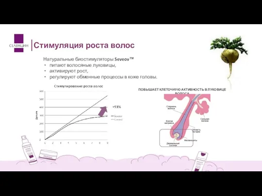 Натуральные биостимуляторы Seveov™ питают волосяные луковицы, активируют рост, регулируют обменные процессы в
