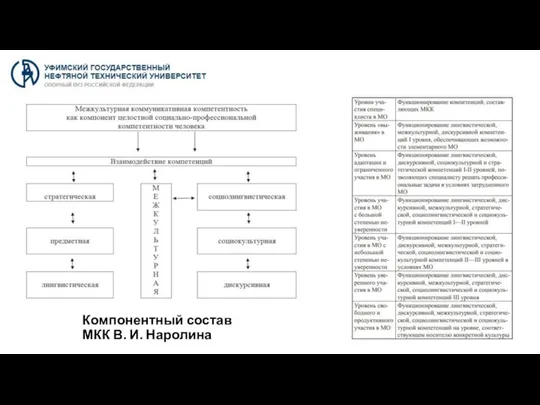 Компонентный состав МКК В. И. Наролина