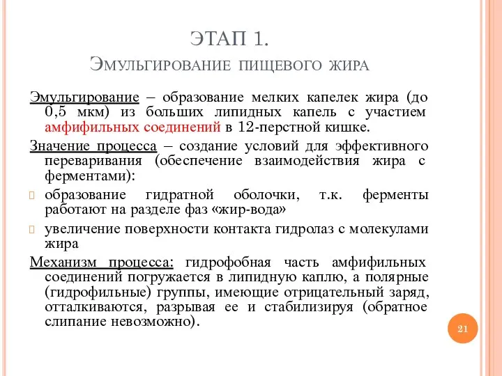 ЭТАП 1. Эмульгирование пищевого жира Эмульгирование – образование мелких капелек жира (до