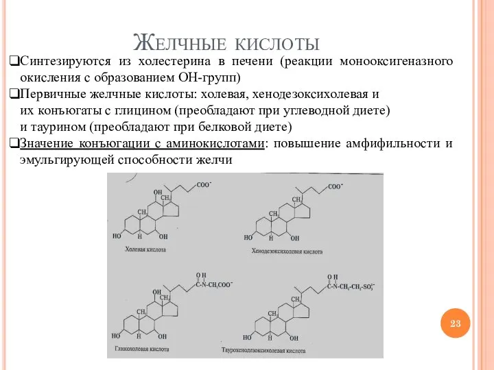 Желчные кислоты Синтезируются из холестерина в печени (реакции монооксигеназного окисления с образованием