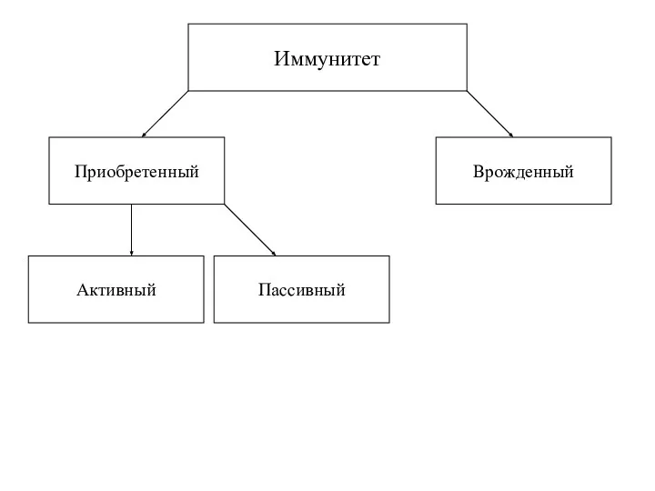 Иммунитет Активный Пассивный Приобретенный Врожденный