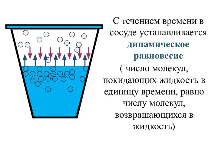 С течением времени в сосуде устанавливается динамическое равновесие ( число молекул, покидающих