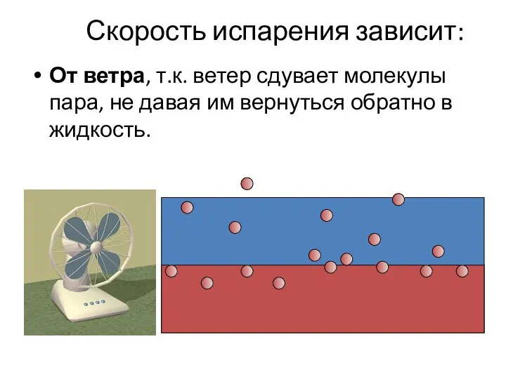 Скорость испарения зависит: От ветра, т.к. ветер сдувает молекулы пара, не давая