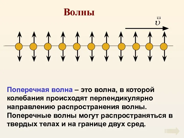 Волны Поперечная волна – это волна, в которой колебания происходят перпендикулярно направлению