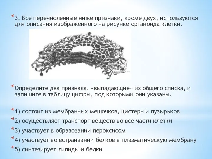 3. Все перечисленные ниже признаки, кроме двух, используются для описания изображённого на