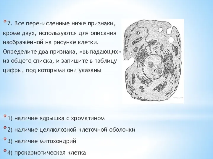 7. Все перечисленные ниже признаки, кроме двух, используются для описания изображённой на