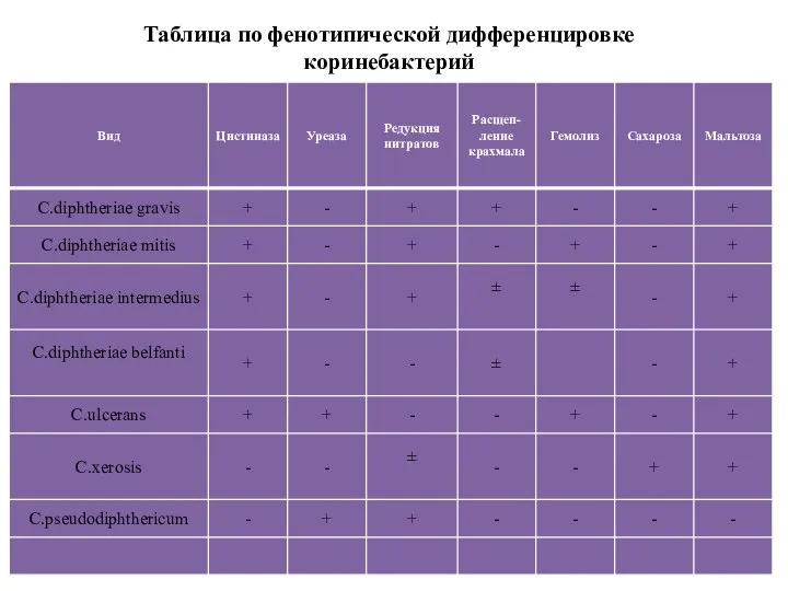 Таблица по фенотипической дифференцировке коринебактерий