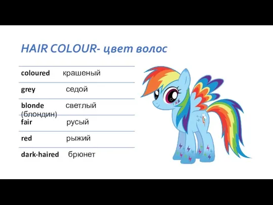 HAIR COLOUR- цвет волос