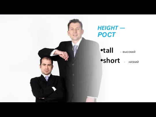 HEIGHT — РОСТ tall - высокий short - низкий
