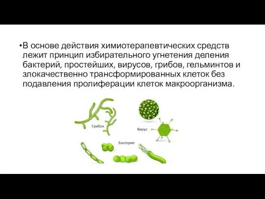 В основе действия химиотерапевтических средств лежит принцип избирательного угнетения деления бактерий, простейших,