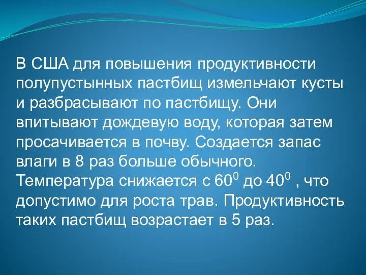 В США для повышения продуктивности полупустынных пастбищ измельчают кусты и разбрасывают по