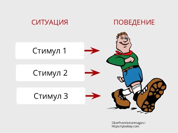 Стимул 1 Стимул 2 Стимул 3 ПОВЕДЕНИЕ СИТУАЦИЯ ClkerFreeVectorImages / https://pixabay.com