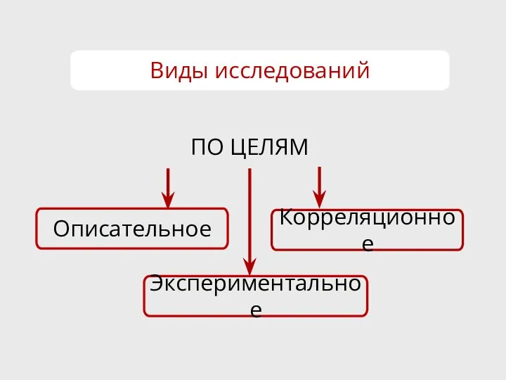 Виды исследований