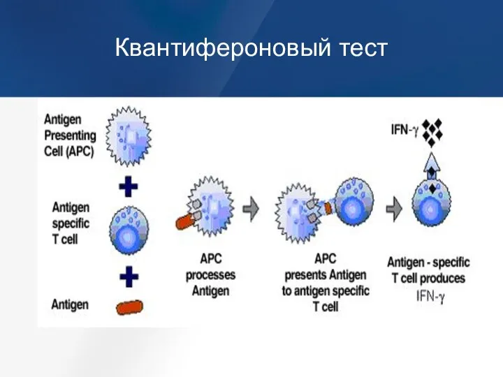 Квантифероновый тест