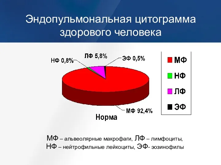 Эндопульмональная цитограмма здорового человека МФ – альвеолярные макрофаги, ЛФ – лимфоциты, НФ