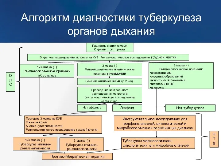 Алгоритм диагностики туберкулеза органов дыхания