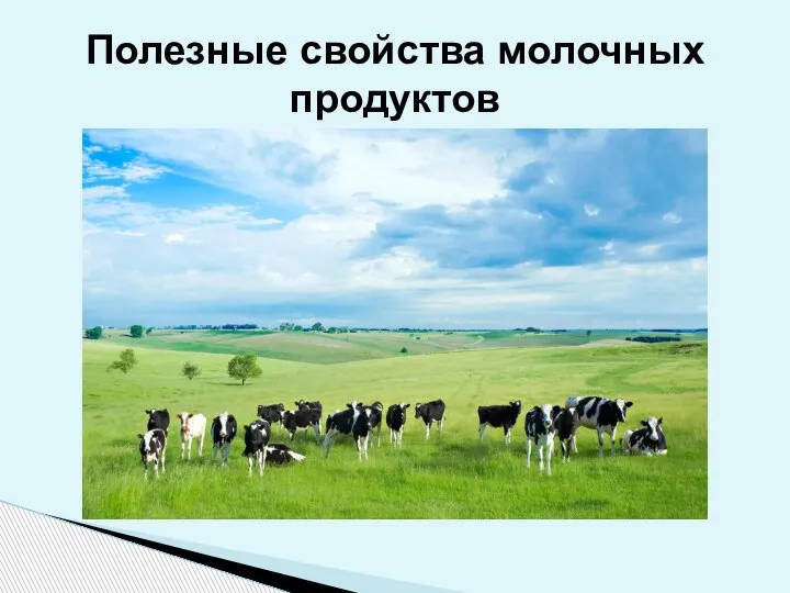 Полезные свойства молочных продуктов