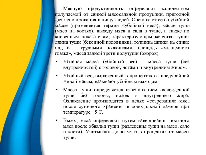 Мясную продуктивность определяют количеством получаемой от свиней мясосальной продукции, пригодной для использования