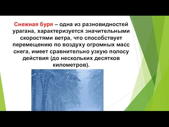 Снежная буря – одна из разновидностей урагана, характеризуется значительными скоростями ветра, что