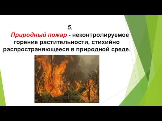 5. Природный пожар - неконтролируемое горение растительности, стихийно распространяющееся в природной среде.