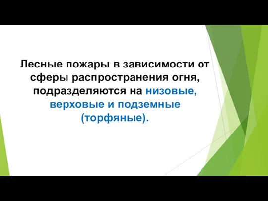 Лесные пожары в зависимости от сферы распространения огня, подразделяются на низовые, верховые и подземные (торфяные).