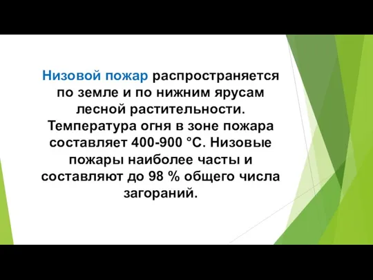 Низовой пожар распространяется по земле и по нижним ярусам лесной растительности. Температура