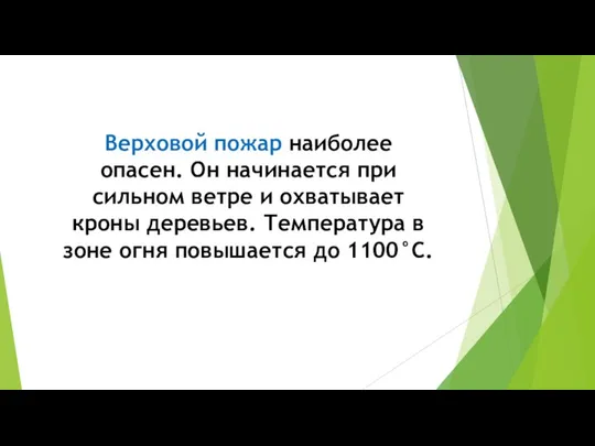 Верховой пожар наиболее опасен. Он начинается при сильном ветре и охватывает кроны