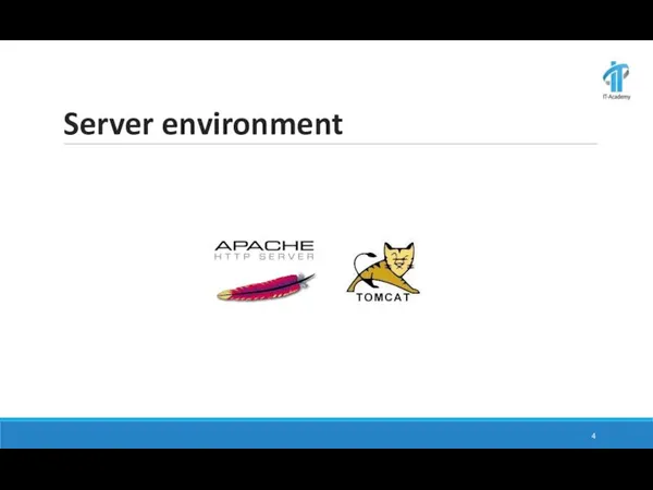 Server environment